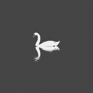 小医仙被操视频网站
